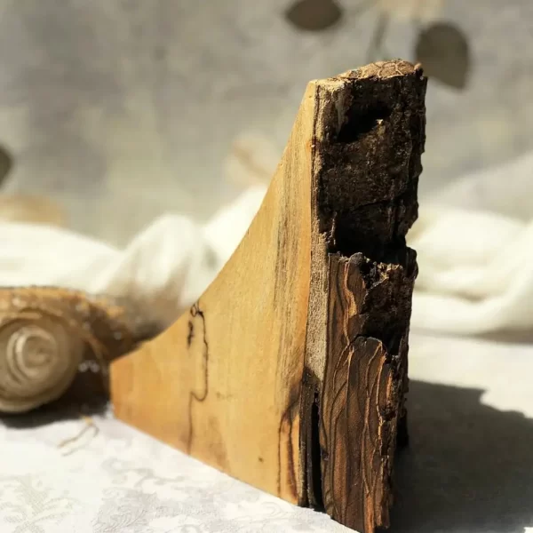 جاشمعی چوبی درختی - Image 3